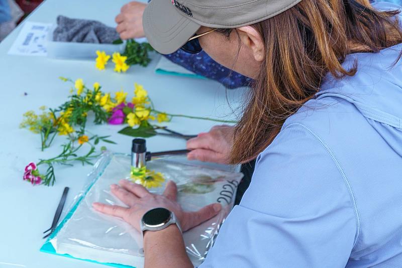 民眾參加「樹葉捶染掛曆」體驗活動。