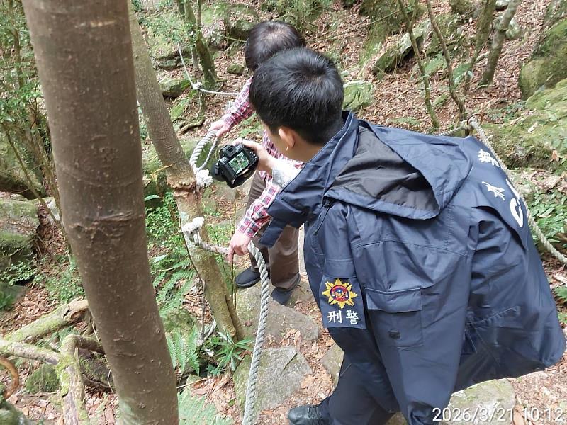 林業保育署臺中分署3月21日會同雪山派出所完成現場蒐證,查遭割斷共15處,含鬆綁共28處。(照片:林業保育署臺中分署)