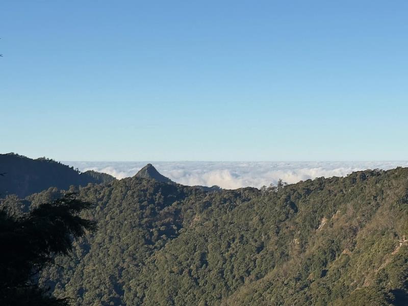鳶嘴山為中部熱門登山路線，地形具挑戰性，請大家共同守護山林環境。（照片：林業保育署臺中分署）