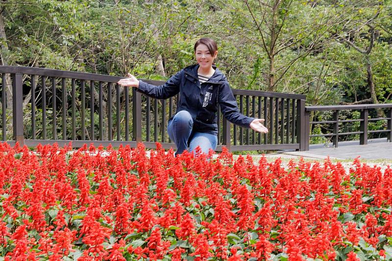 市長高虹安邀民眾一同來十八尖山賞花健走。