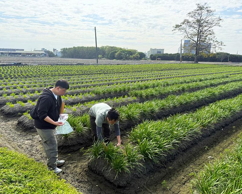 農作物農藥殘留採樣作業