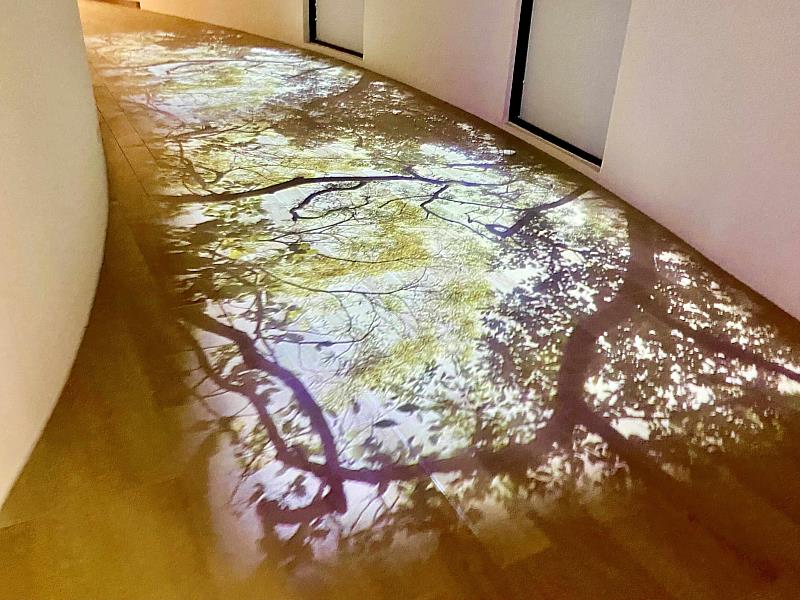 時空走廊腳下是隨風搖曳的數位投影，彷彿將靈鷲山整座森林的呼吸，搬進了福城的現代空間。（靈鷲山佛教教團提供）