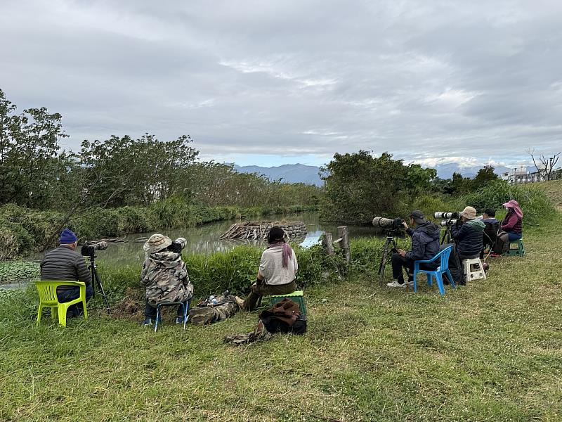 太平溪人工濕地吸引攝影人潮　東環保局倡議「不驚擾、不干擾」