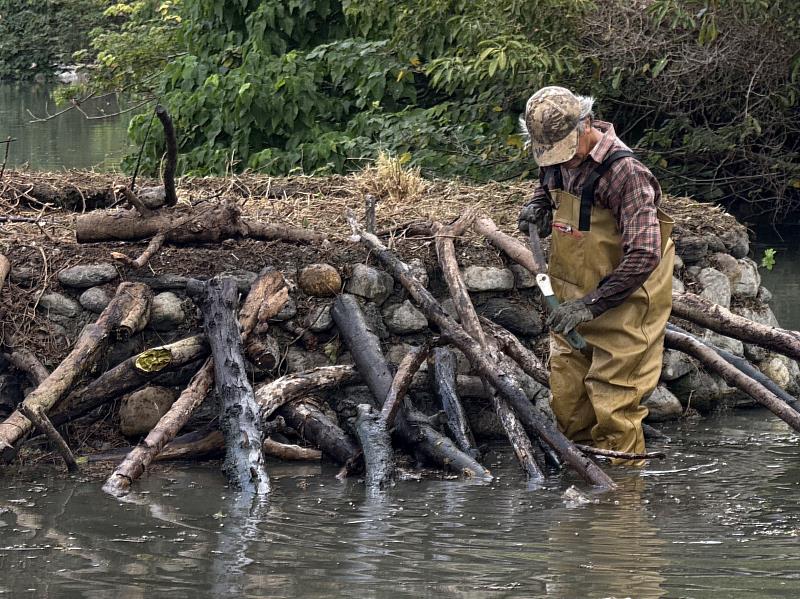 太平溪人工濕地吸引攝影人潮　東環保局倡議「不驚擾、不干擾」
