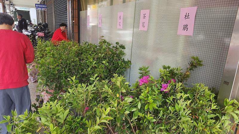 社會公益、青年關懷月苗栗縣救國團青年節系列活動：捐發票贈樹苗