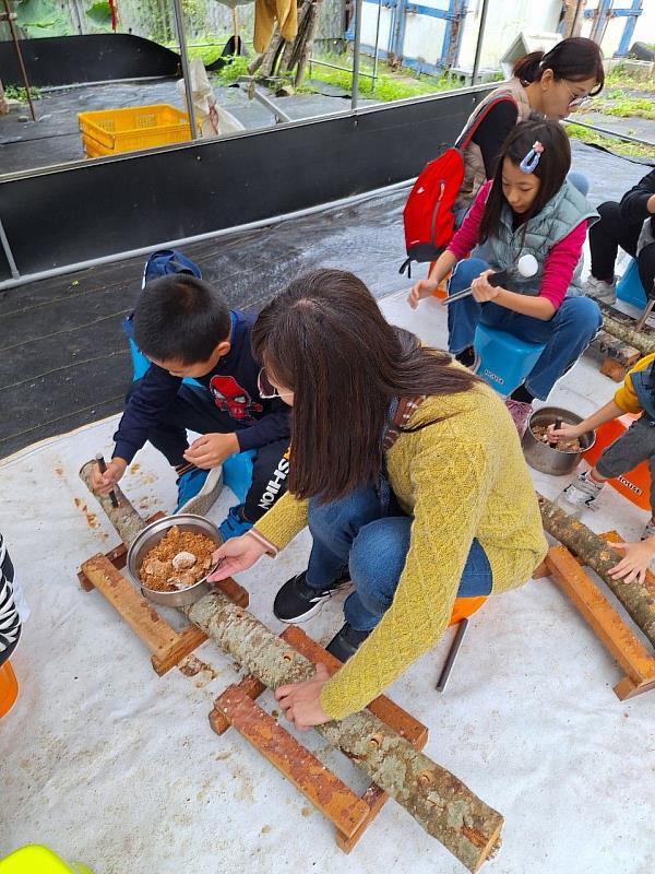 二呆農園辦理植菌DIY、採菇及現烤香菇等食農教育活動，深獲民眾好評。