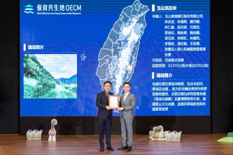 玉山金控永續長張綸宇（右）代表瓦拉米計畫接受林務局署長林華慶（左）頒發「保育共生地」認證。
