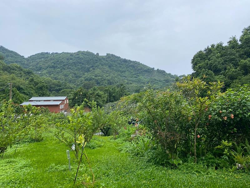 「二呆農園」為林業保育署臺中分署輔導之友善石虎農作標章田區，成功復育螢火蟲族群，營造淺山生態廊道的重要節點。