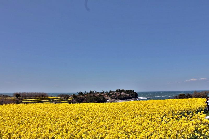 主辦單位亦誠摯邀請攝影愛好者參與年度攝影比賽，透過鏡頭定格這片海天一色的浪漫。
