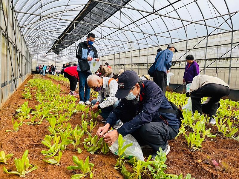 綠色旅遊－有機農事體驗
