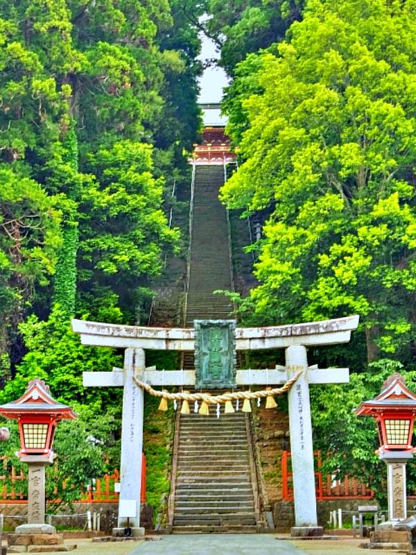 如果今年要參加比賽，或是想挑戰自己的體力，就來鹽竈神社參拜吧！