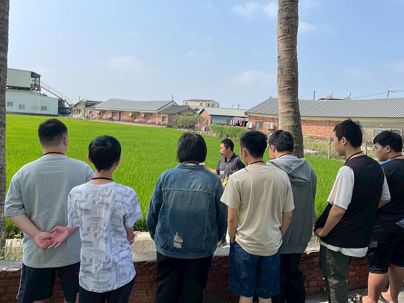 師生走訪玉米田,觀察稻米的生態與生長環境。