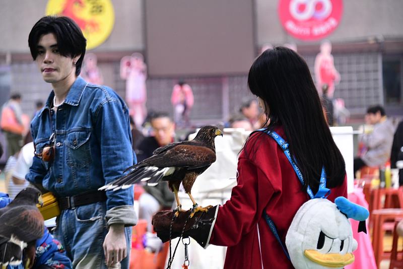 圖3、實際動物互動讓特教學生體驗生命教育。