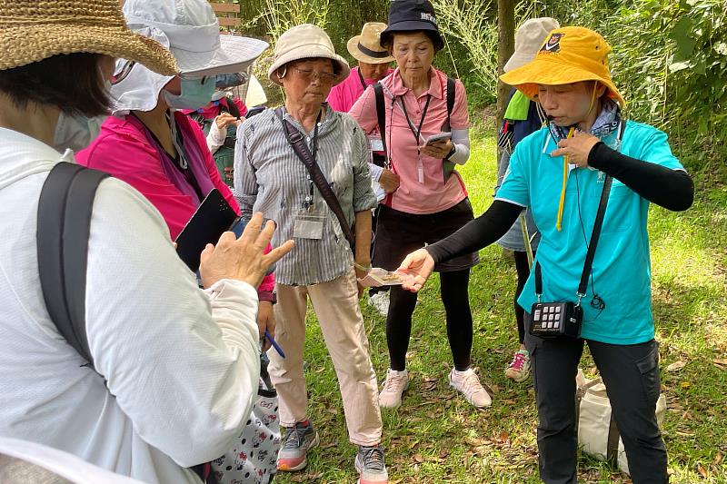 114年新竹市綠活美學計畫-新竹綠活居活動。（資料照片）