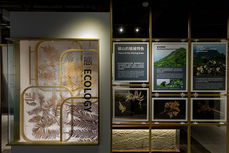 黃金博物館「透視礦山」常設展讓民眾探索礦山價值與故事。