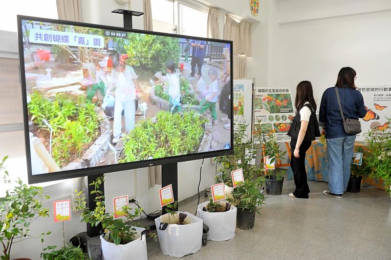 蘭潭國小附幼化身生態樂園
