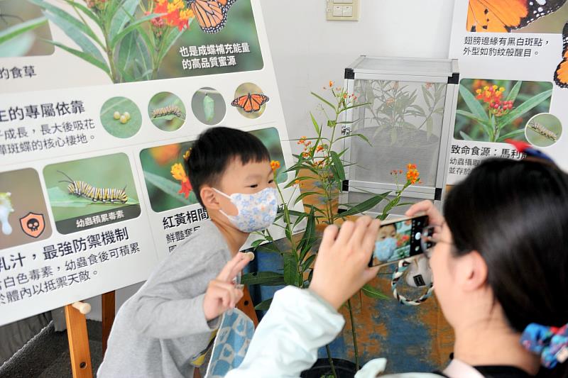 蘭潭國小附幼化身生態樂園