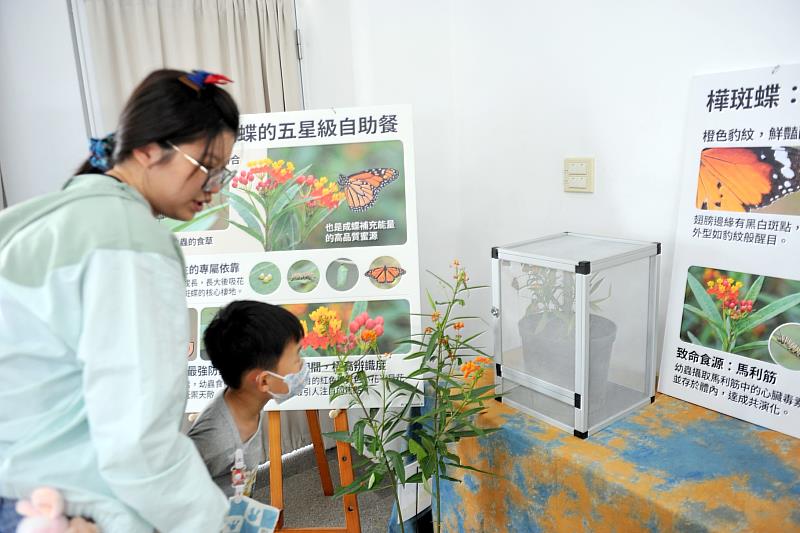 蘭潭國小附幼化身生態樂園