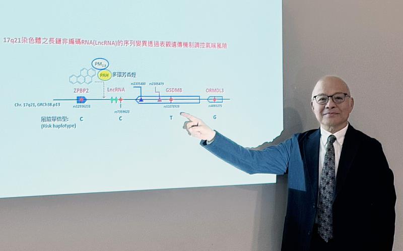 黃嘯谷教授團隊研究發現，17q21染色體長鏈非編碼RNA（IncRNA）的序列變異，會透過影響基因表現的調控機制，提高氣喘發生風險。