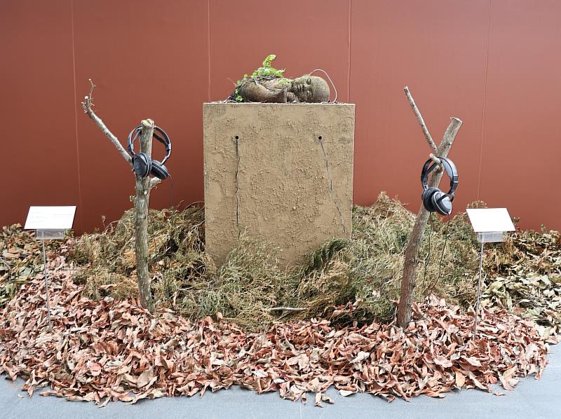 《（非）自然裡的方言》觀者可聆苔蘚的微弱電流變化，感受聲音隨環境而改變。