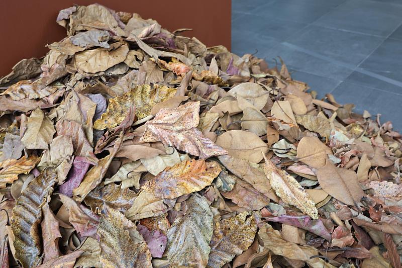 《有光落下的季節》展場中真實落葉與超擬真陶瓷落葉混合堆放，虛實交錯的佈展手法增添自然氛圍。
