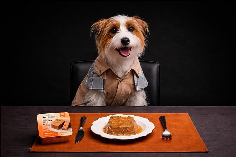 寵物展春日饗宴！ 尾巴丘狗餐盒、貪貪功夫湯罐引領Fine Dining食尚