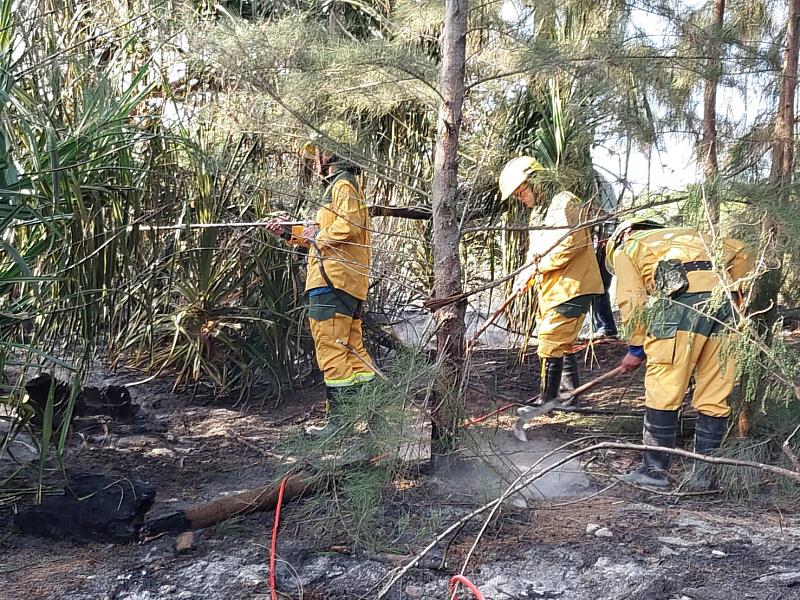 清明將至森林防火不鬆懈 守護綠色家園全民一起來