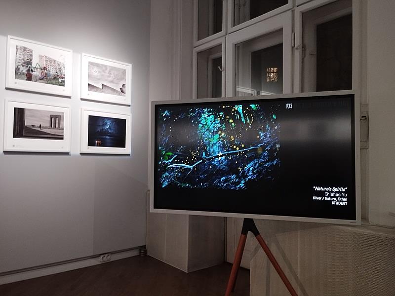 法國PX3歐洲巡迴展展場一隅-右1自然類銀牌作品《自然精靈》。