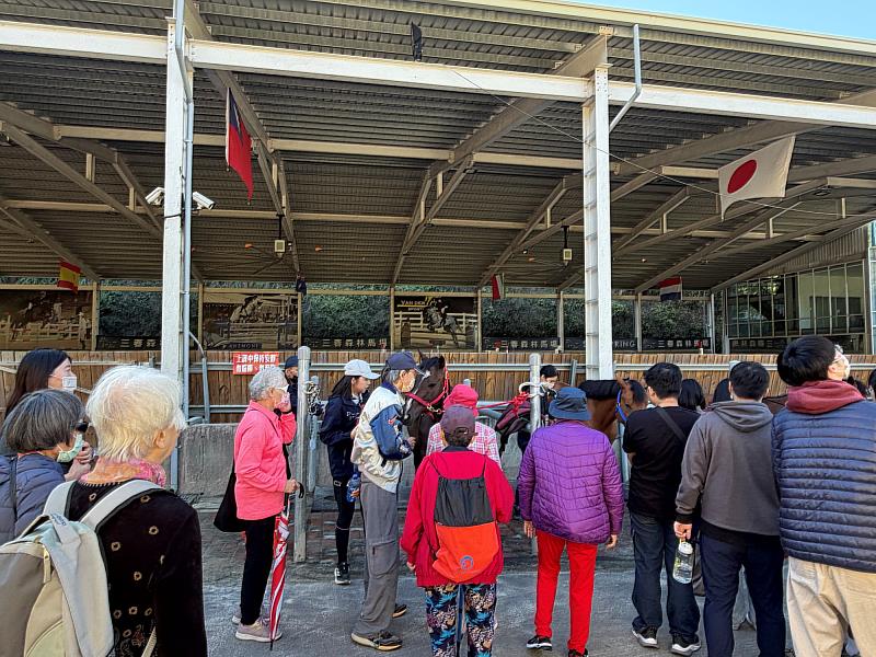 3系學生陪伴長輩與療育馬近距離互動,實踐跨領域服務與關懷精神。