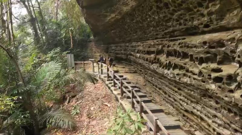 嘉義的光不間斷 嘉義山區4月賞螢季浪漫開跑