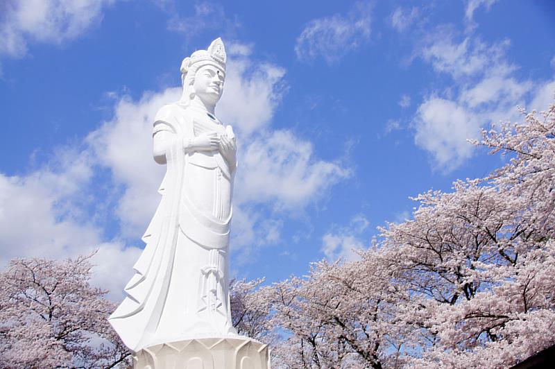 船岡城址公園位於海拔136公尺處,是明治維新前柴田氏居住的宅邸遺跡, 山頂上矗立著高24公尺的船岡平和觀音像,可欣賞到柴田町的街景、藏王山脈,以及太平洋的壯麗景色。