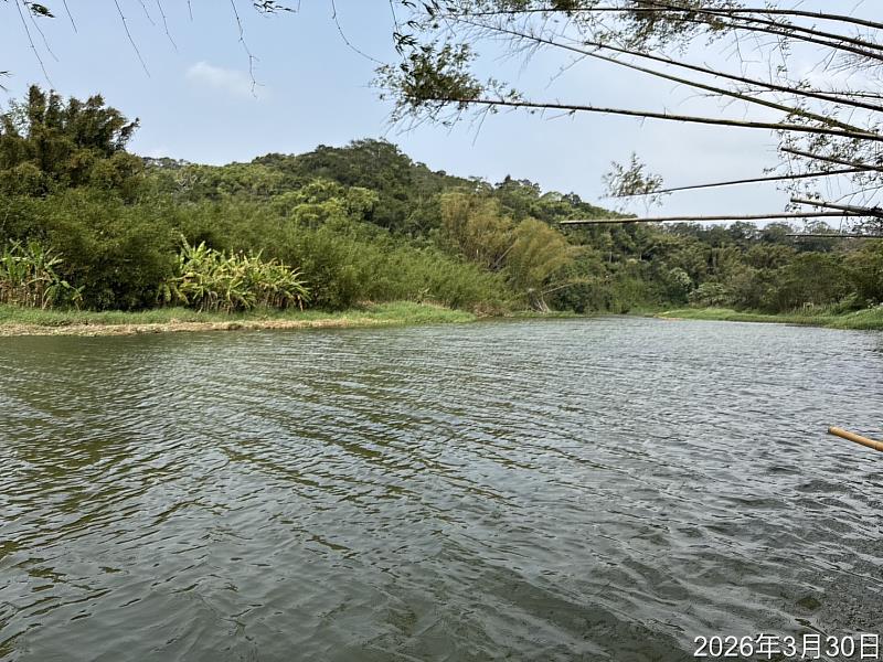 竹市府完成第三區清淤 跨單位聯手攔截布袋蓮