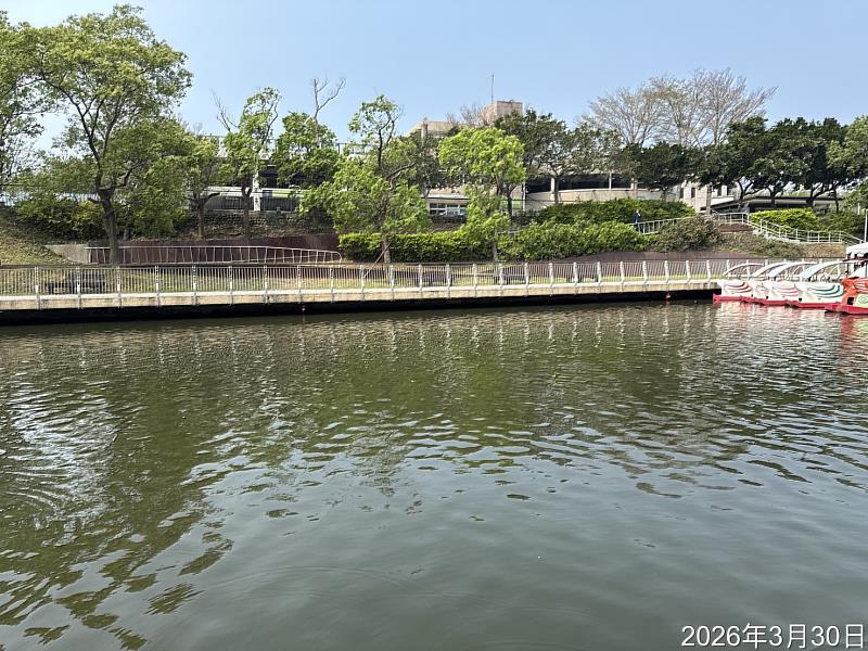 竹市府完成第三區清淤 跨單位聯手攔截布袋蓮