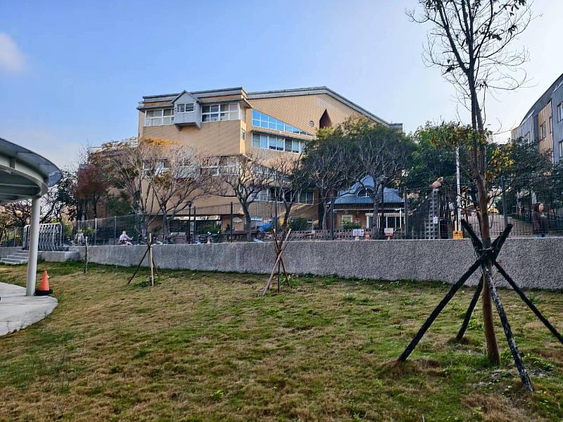 育賢國中楓林木植栽種植