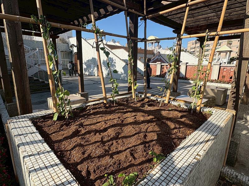 科園國小炮仗花植栽種植