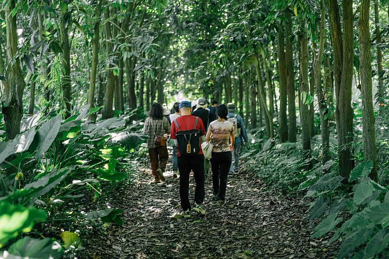 彰化溪州綠意盎然的平地森林，提供民眾休憩的好所在。（林煜幃攝影）