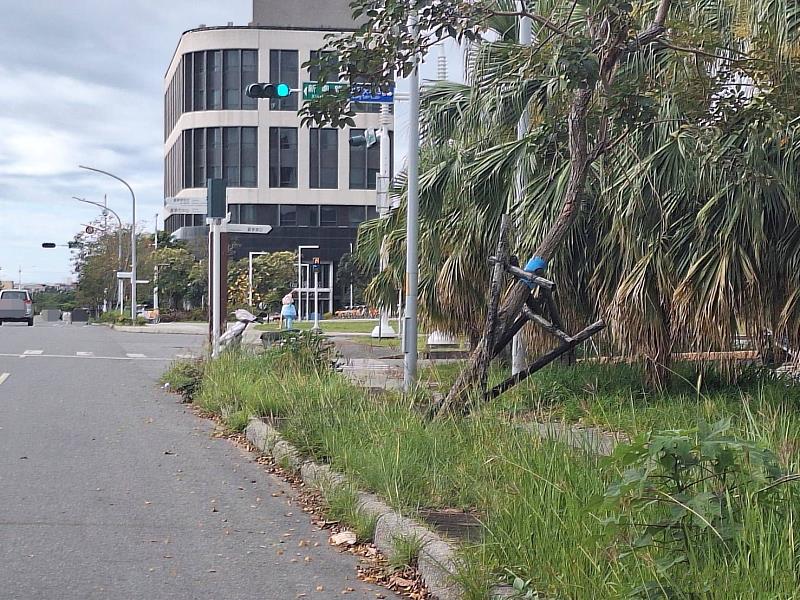 雜草生長旺盛 臺東加強空地管理巡查宣導 守護城市安全與市容