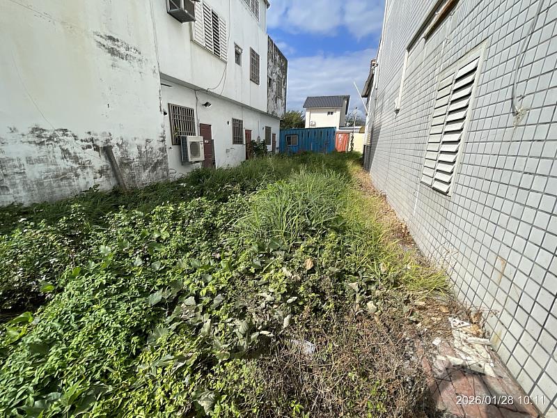 雜草生長旺盛 臺東加強空地管理巡查宣導 守護城市安全與市容