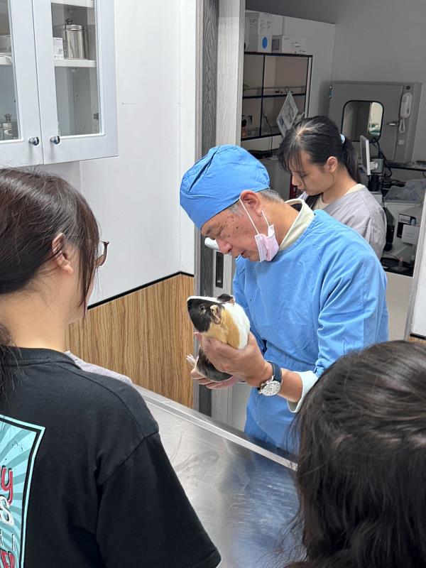 祁院長親自托舉天竺鼠進行細部檢查，透過真實的臨床案例，深化學生的專業判斷與診療能力。