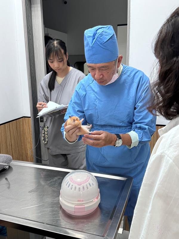 針對體型嬌小的倉鼠，院長專注示範外觀評估與觸診，讓醫療實務操作與課堂理論無縫接軌。