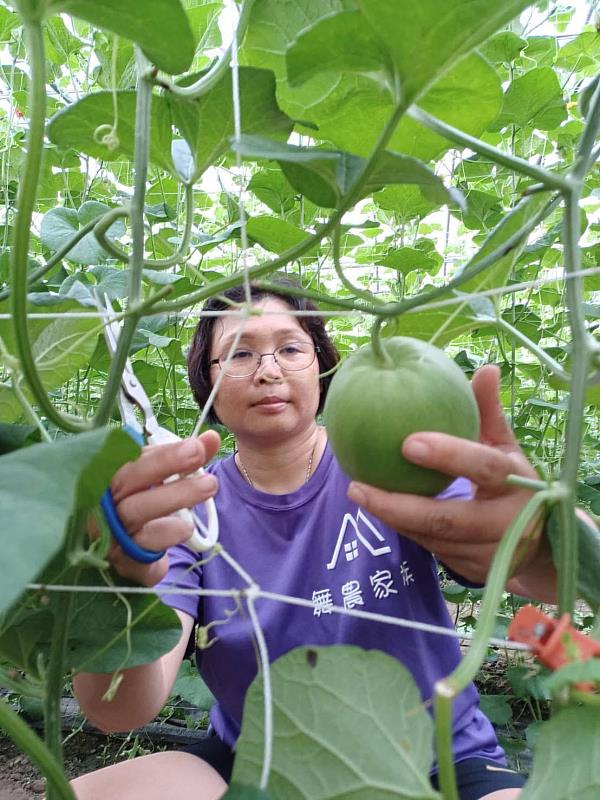 林家如結合農業創新模式撰寫學術論文，並投稿國際研討會。