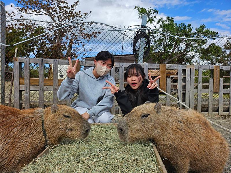 2026暑假夏令營首選－救國團「福爾摩沙環島活動隊」 帶孩子走讀台灣、探索成長