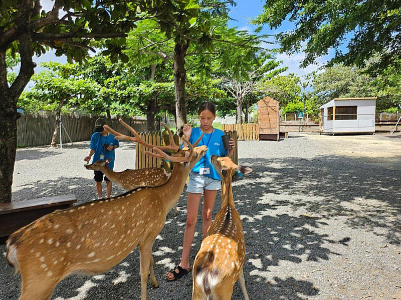 2026暑假夏令營首選－救國團「福爾摩沙環島活動隊」 帶孩子走讀台灣、探索成長