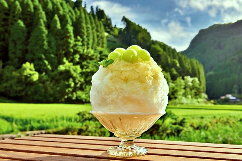 夏季觀光不可或缺的冰涼甜點，從經典到新奇，各具特色的美味佳餚在大分縣內各地比比皆是。這個超人氣夏日麝香葡萄冰，有著獨特的甘甜和清爽感，糖漿也不會過甜，外觀也十分美麗，拍起照來也會非常滿意的刨冰。
