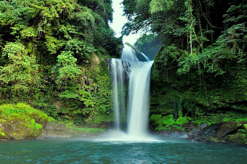 手冊內嚴選即使在炎熱季節中也能舒適享受大分魅力的56個景點，包括能被自然涼風療癒的溪谷和瀑布、被冰涼空氣包圍的鐘乳石洞，以及即使在夏季也宜人的高原地區等各個景點。
