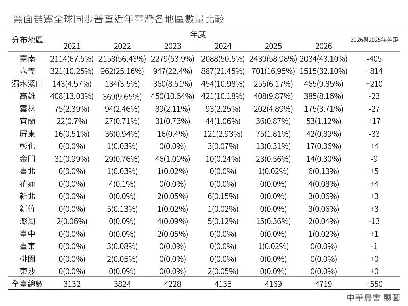 黑面琵鷺度冬族群集中於臺灣西南沿海地區。（中華民國野鳥學會提供）