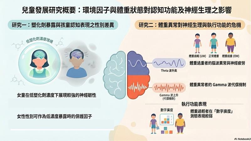 研究概念圖。