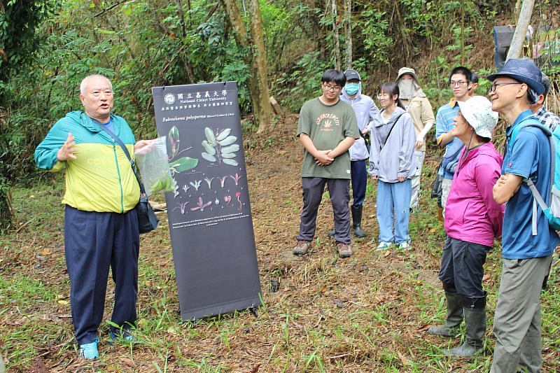 楊勝任老師向民眾說明登吉紅柳桉生長特性。