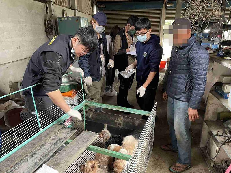 嘉縣近期查獲兩起犬隻疑遭割聲帶案 已移送偵辦
