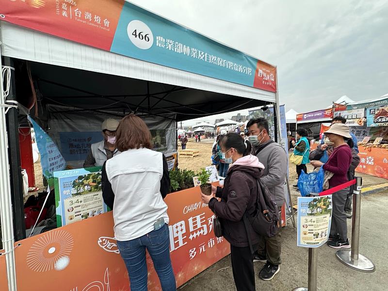 臺灣燈會場次使用限定盆器及居家綠植,吸引賞燈民眾,拓展不同客群。